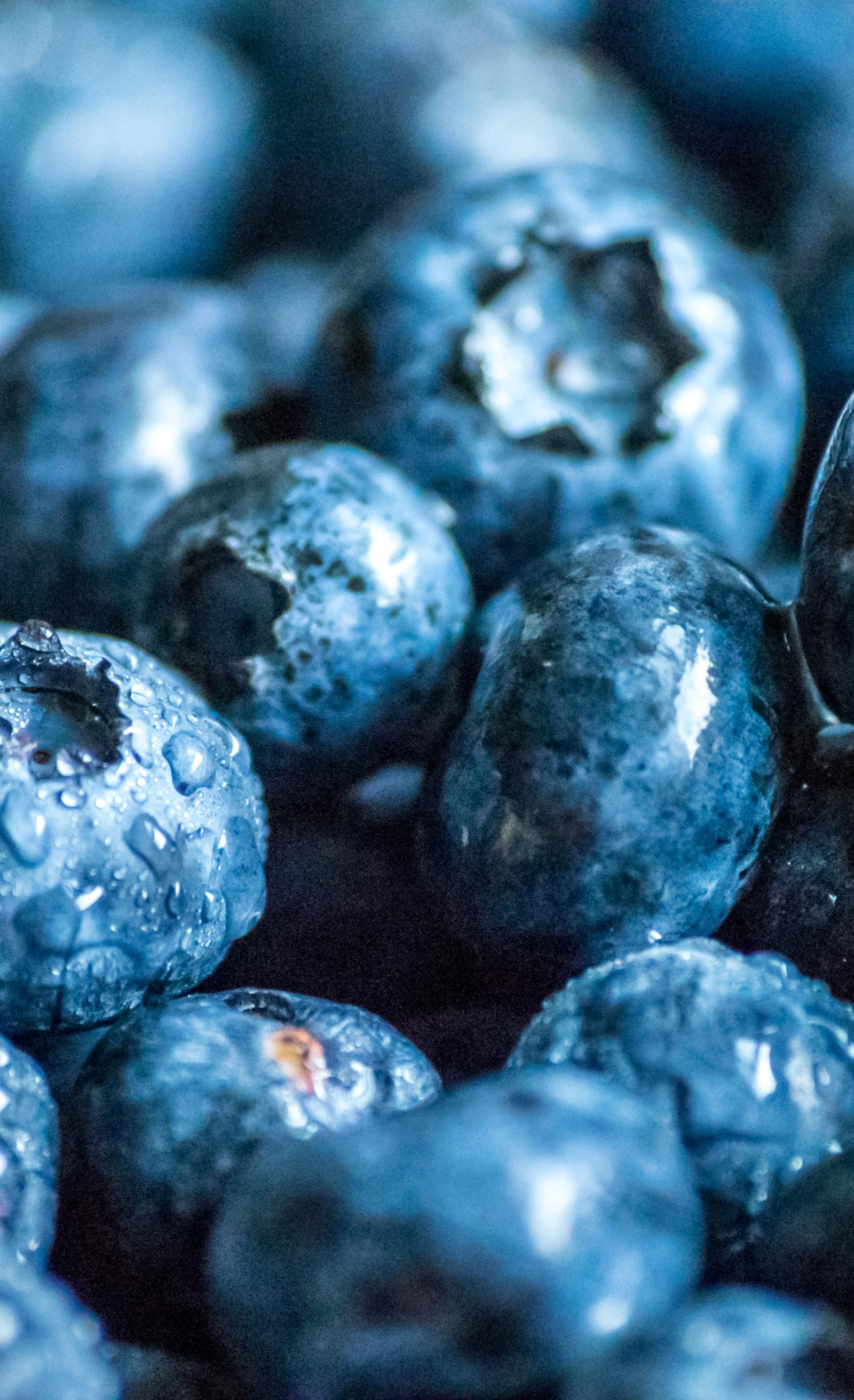 Des Moines Residents Build Daily Nutrition Habits Around Fresh Choices and Simple Meals